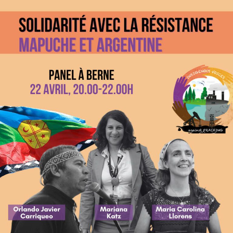 Solidarité avec la Réstistance Mapuche et Argentine