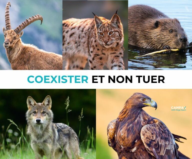 Coexister et non tuer