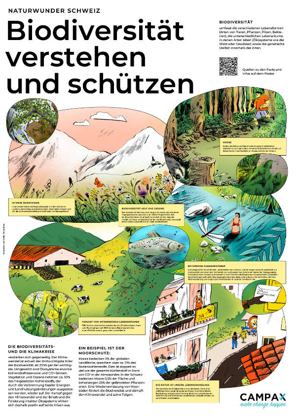 Poster Biodiversitaets-Initiative DE