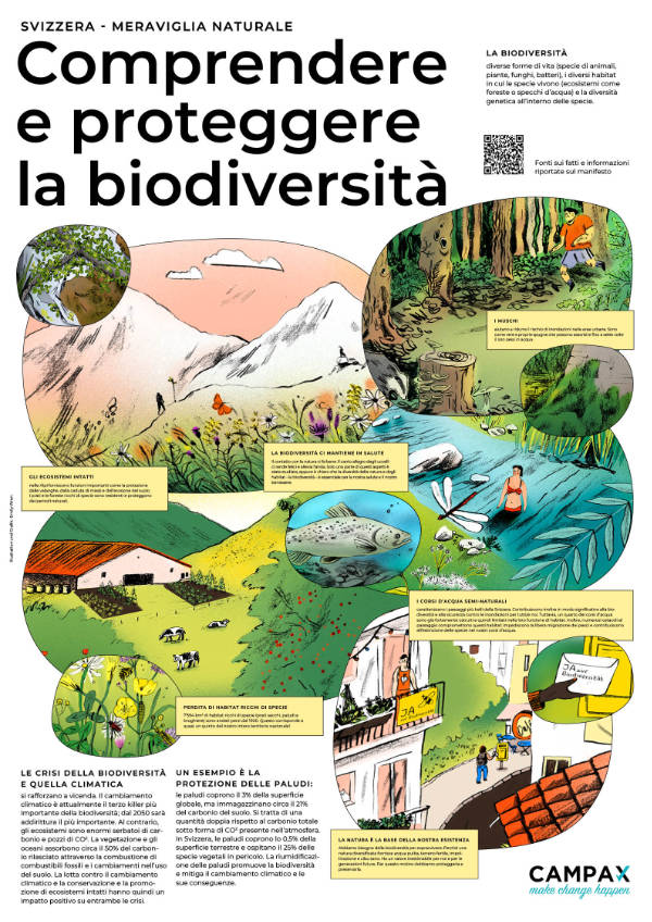 Poster Biodiversitaets-Initiative IT