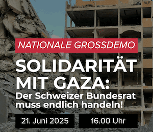 Gaza-Demo DE Grossdemo am 21. Juni in Bern um 16:00 Uhr auf der Schützenmatte