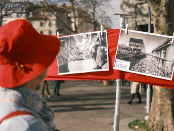 54925461633_236c166208_c