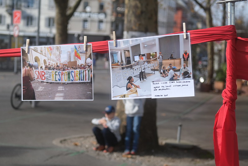 54925567555_f49ce6ef4a_c