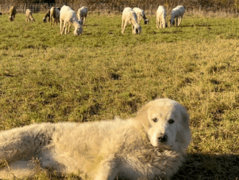 Bild-min-aspect-ratio-346-260