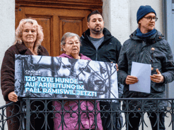 Design ohne Titel (11)